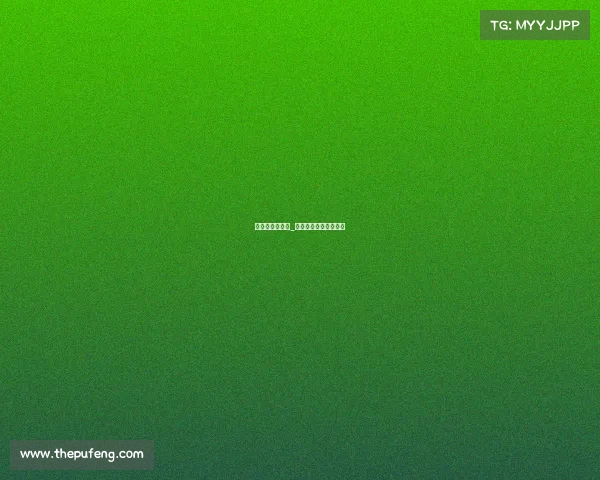 电子竞技无爱情_《电子竞技没有爱情》